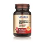 Validus Glucosamine + Chondroitin + MSM N90 აბი